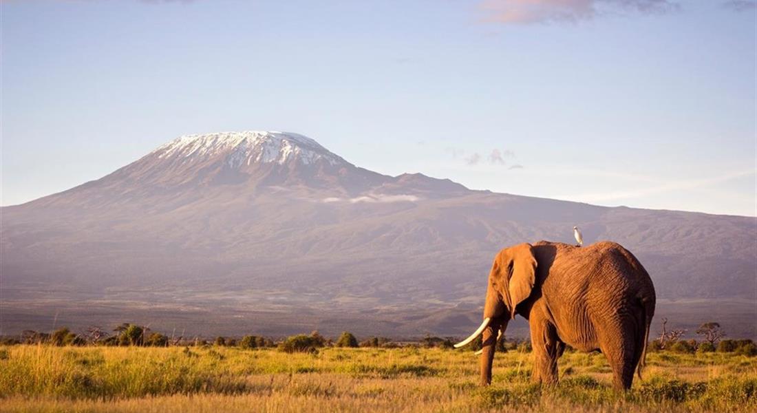 Tanzania - Kilimanjaro