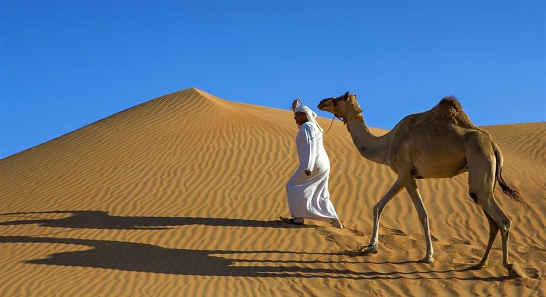 Zjednoczone Emiraty Arabskie - Pustynia