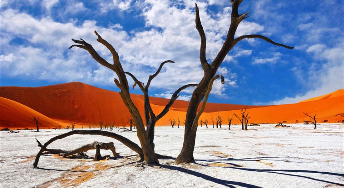 Namibia - Pustynia Namib