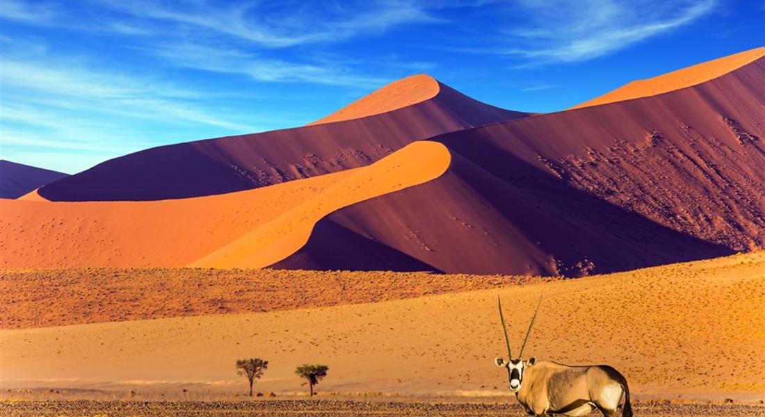 Namibia - Pustynia Namib